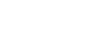 logo partners of americas